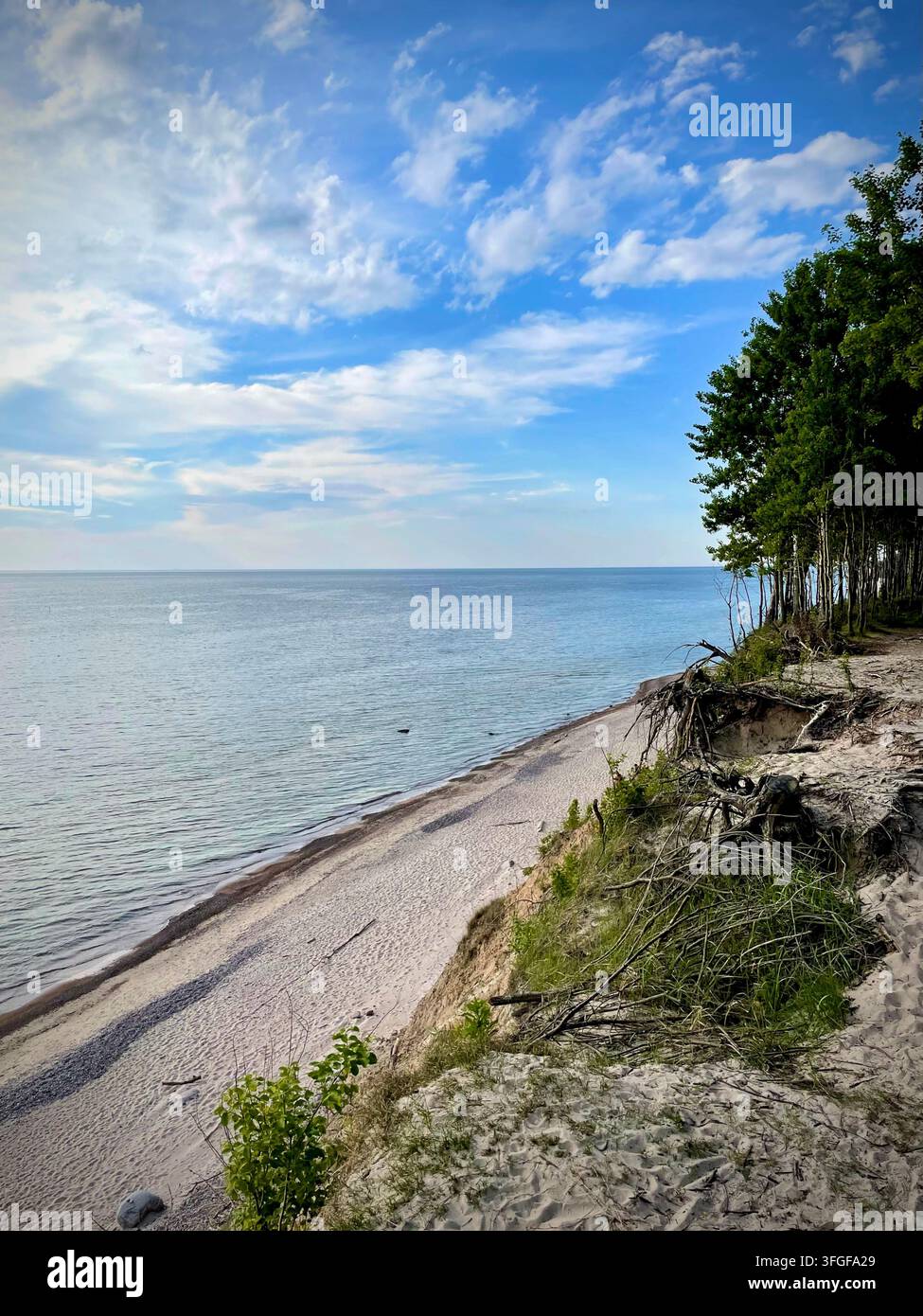 Scenische Küstenansicht der Ostseeküste von einer Kiefernwaldklippe in Olando Kepurė in Karklė, Litauen. - Smartphone-aufgenommenes Stockfoto