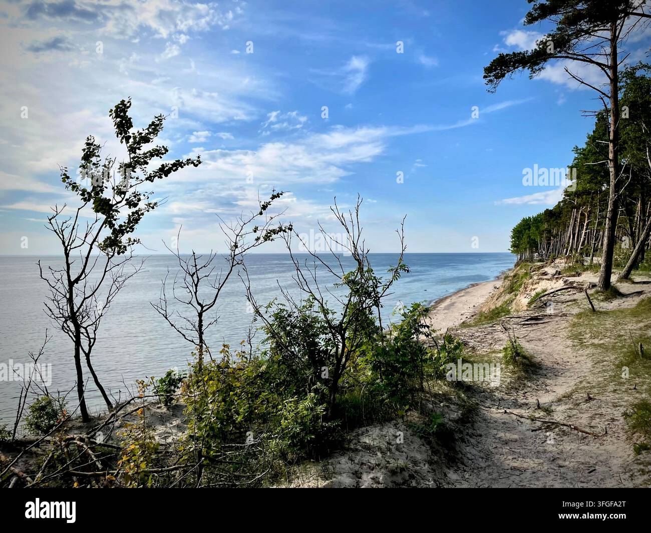 Scenische Küstenansicht der Ostseeküste von einer Kiefernwaldklippe in Olando Kepurė in Karklė, Litauen. - Smartphone-aufgenommenes Stockfoto