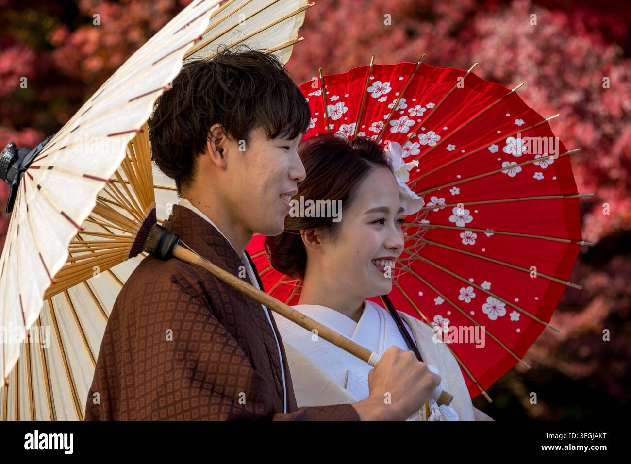Japanisches frisch verheiratetes Braut- und Bräutigamspaar in traditionellem zeremoniellem Kimono, das im Landschaftsgarten Tokugawa-en (徳川園) in Nagoya, Aichi, Japan posiert. Stockfoto