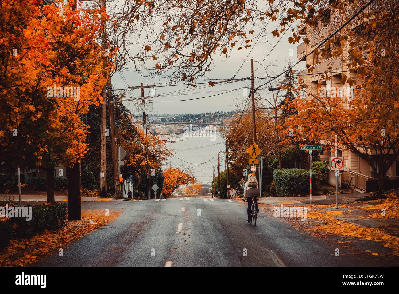 Herbstlaub umrahmt eine Straße in Seattle, während ein Radfahrer auf den Hafen zufährt, mit Bellevue Avenue, Uferblick und Puget Sound im Blick Stockfoto
