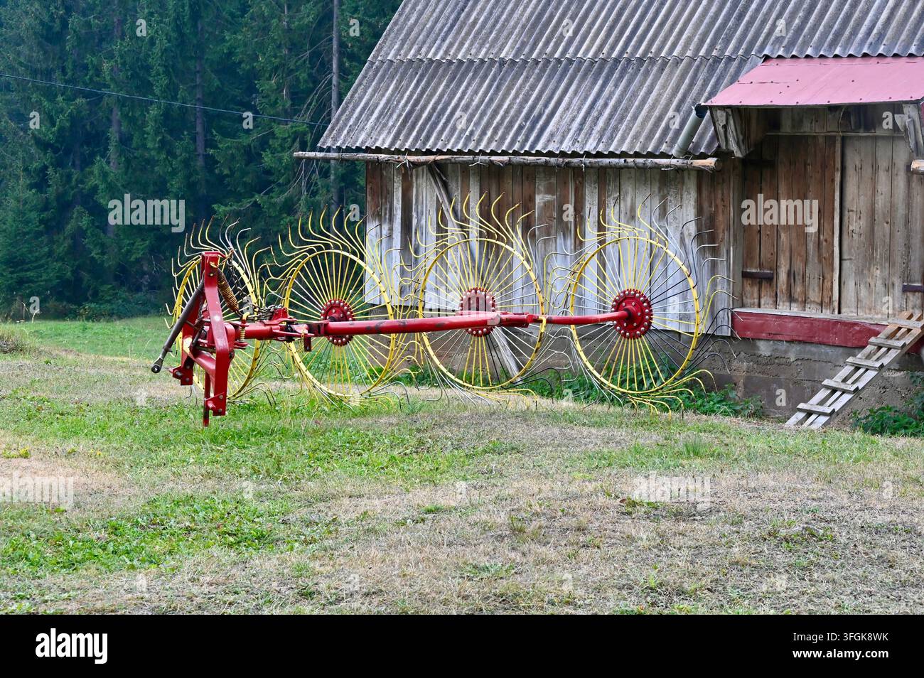ein roter landwirtschaftlicher Radhark mit einer Hakenwelle, der auf einem grasbewachsenen Hof neben einer verwitterten Holzscheune mit Wellblechdach ruht. Stockfoto
