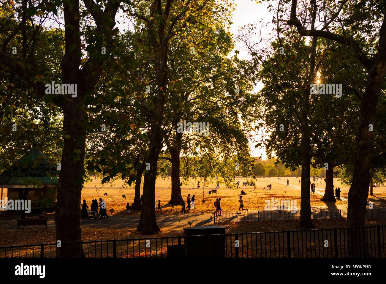 London, England, UK, 11. Aug. 2026: Eine große Gruppe von Menschen genießt den Hyde Park in London während der Abendstunde, während einer Dürre, die das Gras und Stockfoto