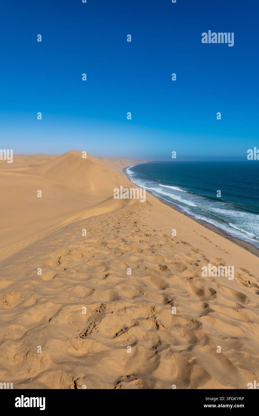Weite Sanddünen treffen auf den Atlantischen Ozean entlang der Skelettküste in Namibia. Die Szene wird von sanft geschwungenen goldenen Sanddünen dominiert, die hinunter zu einem tu Stockfoto