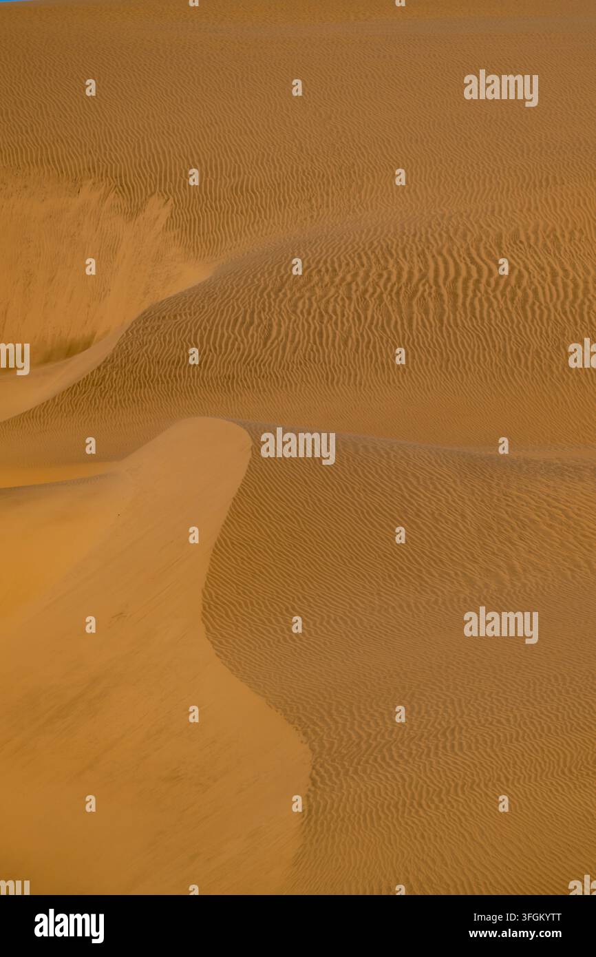 Abstrakter Nahaufnahme von rollenden Sanddünen an der Skelettküste, Namibia. Die warmen, goldenen Töne erzeugen eine ruhige und einsame Atmosphäre. Die komplexe Stockfoto