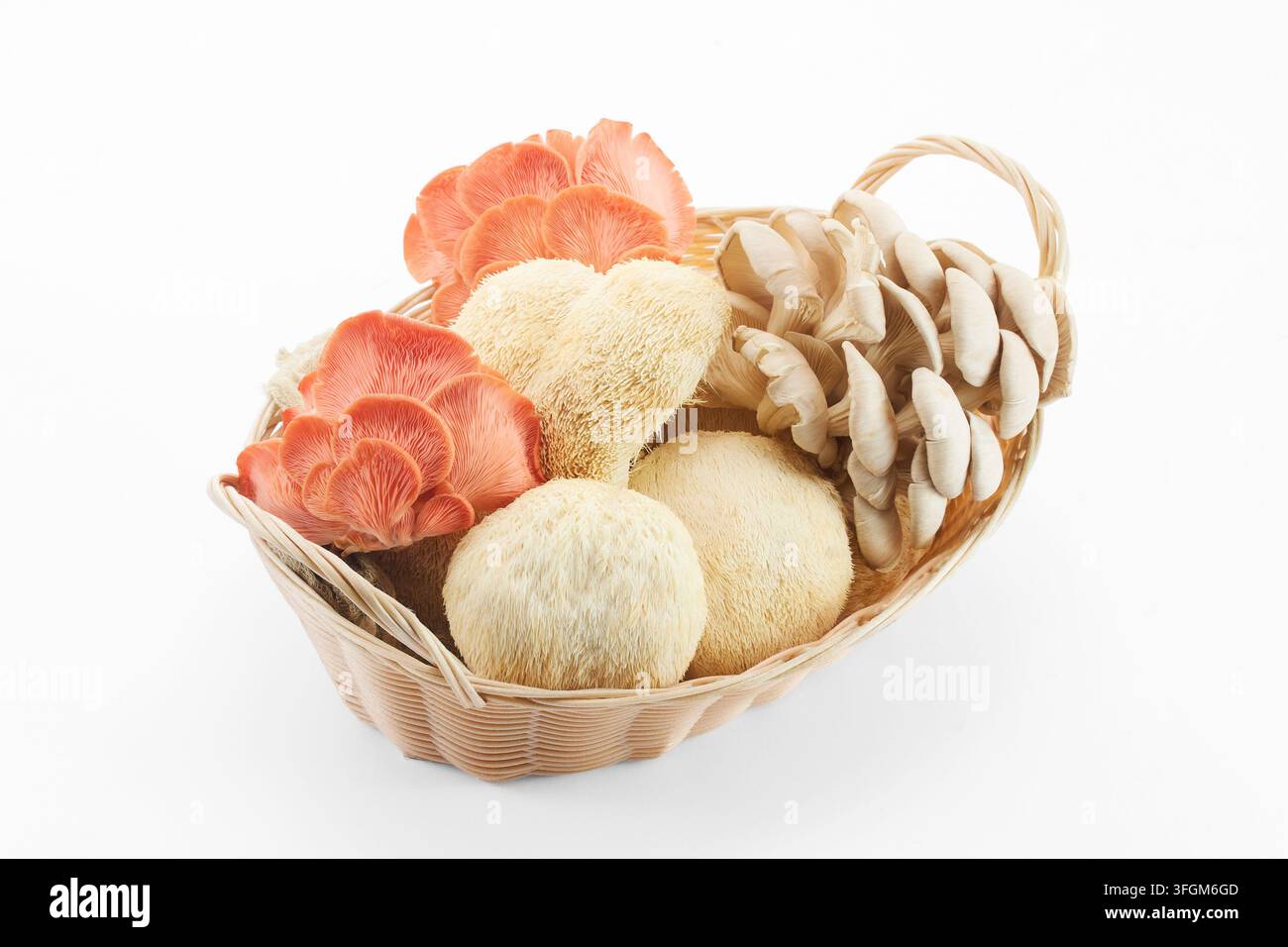 Korb mit rosa Auster, grauer Auster und Löwenmähne-Pilzen Stockfoto
