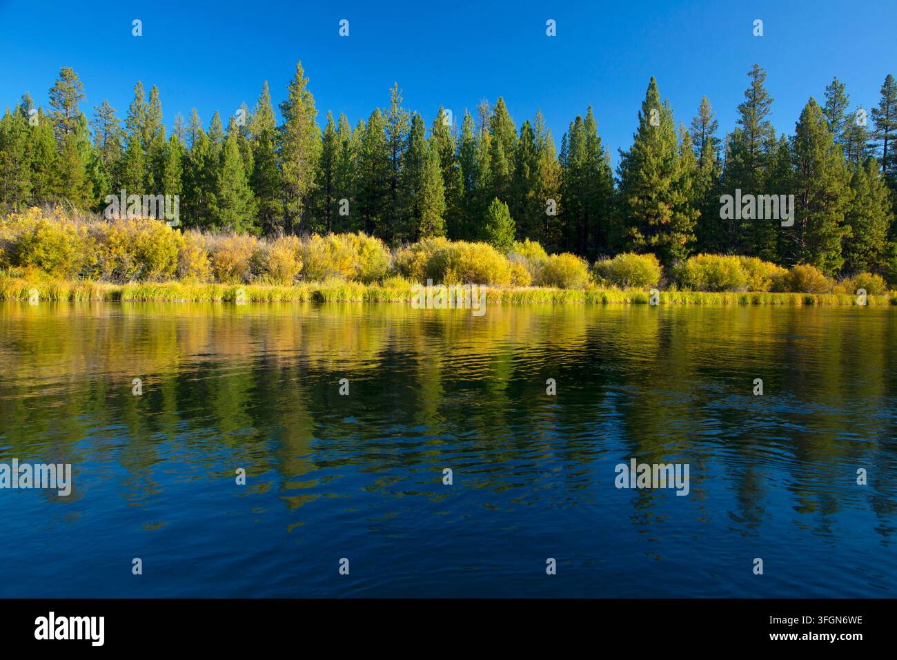 Deschutes Wild and Scenic River, Deschutes National Forest, Oregon Stockfoto