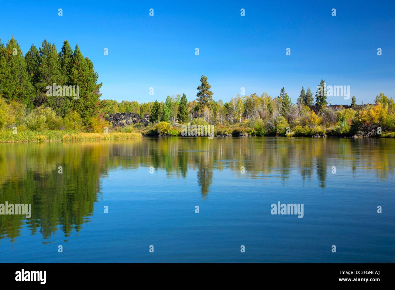 Deschutes Wild and Scenic River, Deschutes National Forest, Oregon Stockfoto