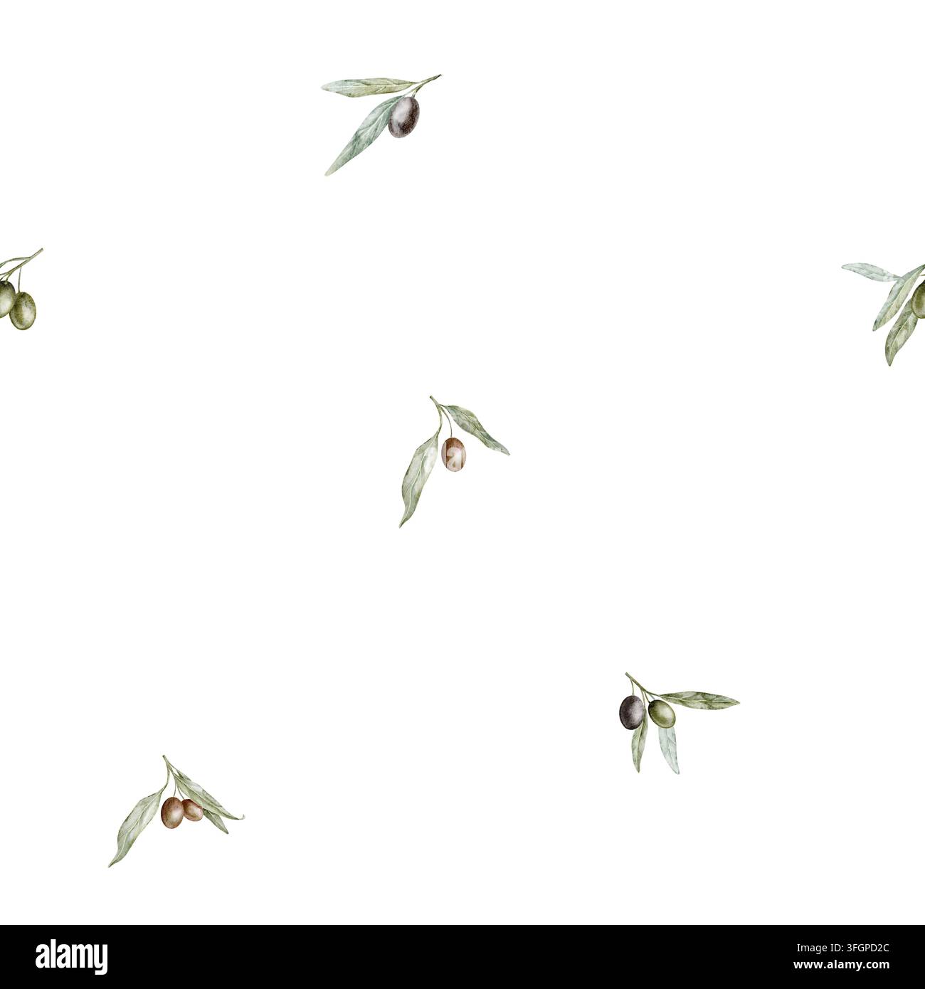 Seamless Muster mit Olivenzweig, Blättern und Früchten auf isoliertem Hintergrund. Botanisches Aquarellmuster mit Ästen für Hochzeitsstationäre Stockfoto