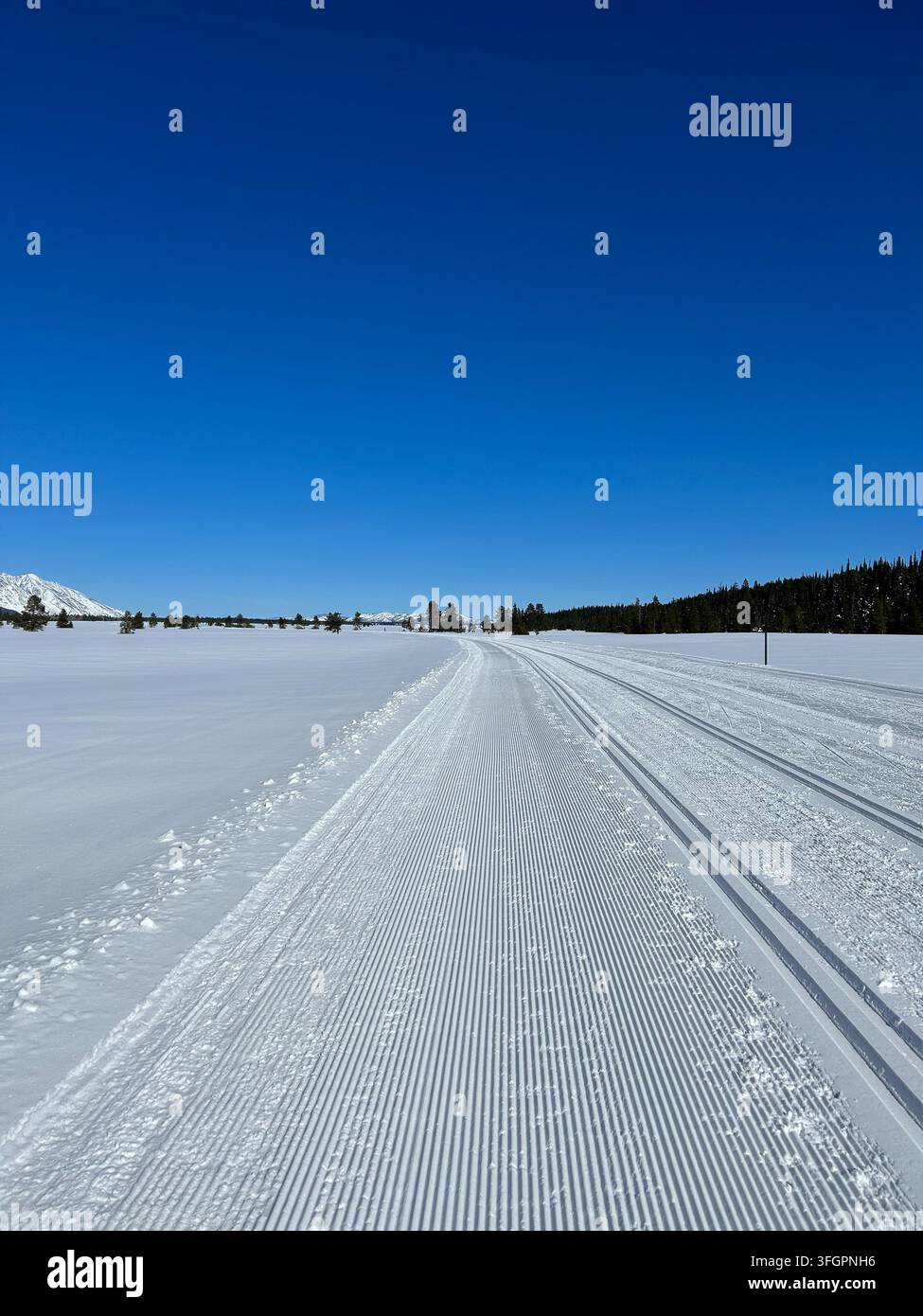 Gepflegte Langlaufski-Strecke im Grand Teton Nationalpark Stockfoto