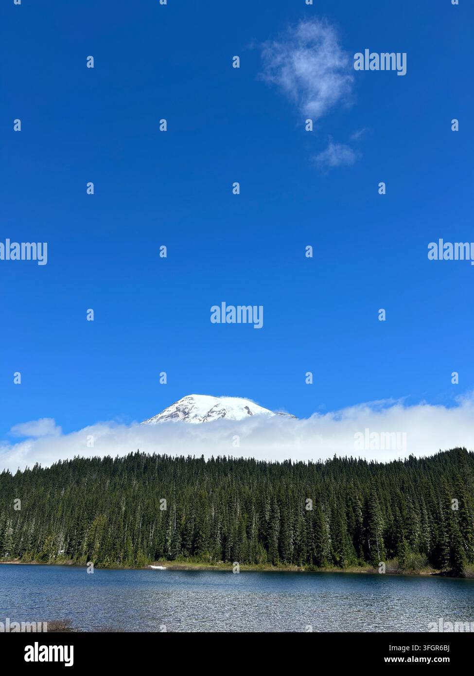 Gipfel des Mount Rainier über den Wolken am Reflection Lake, Washington Stockfoto