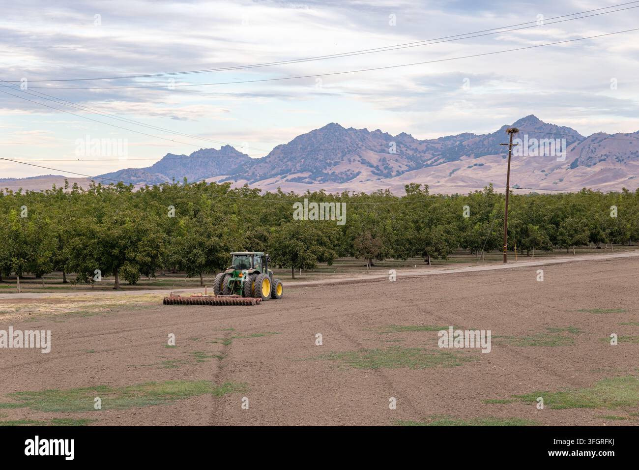 Ein Traktor steht auf einem Feld neben einem Obstgarten mit Bergen im Hintergrund, was den Wasserverbrauch der Landwirtschaft symbolisiert. Stockfoto