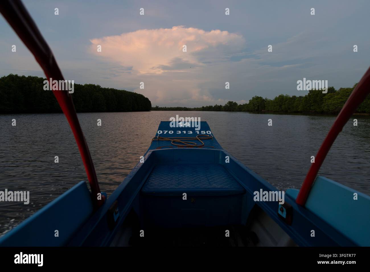 Blick vom Heck eines nummerierten blauen Holzbootes, das einen ruhigen tropischen Fluss entlangfährt, der bei Einbruch der Dämmerung von dichten Mangrovenwäldern gesäumt ist. Ein dramatischer Cumulonimbus Stockfoto