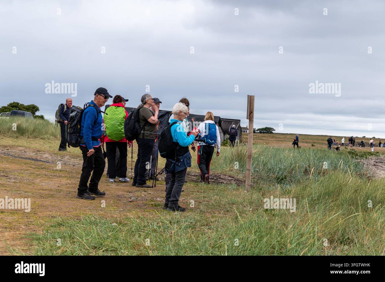 Eine kleine Gruppe von Touristen auf der heiligen Insel in Richtung Lindisfarne Castle in Northumberland, Großbritannien. Die kleine Gezeiteninsel ist nur zugänglich von der Stockfoto