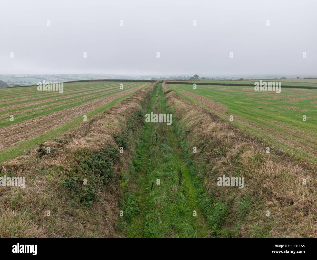 Eine Luftbilddrohnenansicht, die an einem sehr nebligen Tag entlang eines tief eingegrabenen Feldweges führt. Der Weg ist von grasbewachsenen Böschungen und Hecken gesäumt. Stockfoto