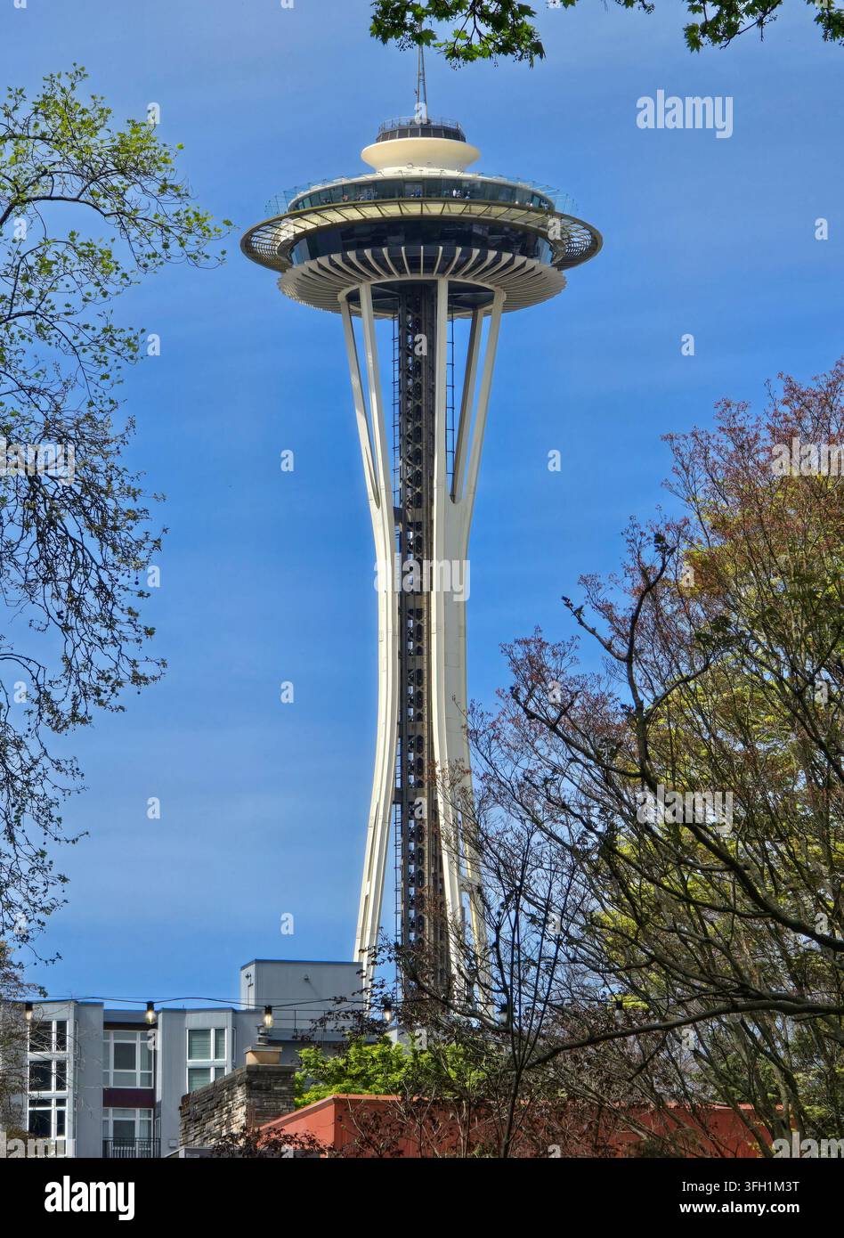 Niedrigwinkelaufnahme des Space Needle, das sich gegen einen blauen Himmel erhebt und von Bäumen in Seattle, Washington, eingerahmt wird. Stockfoto