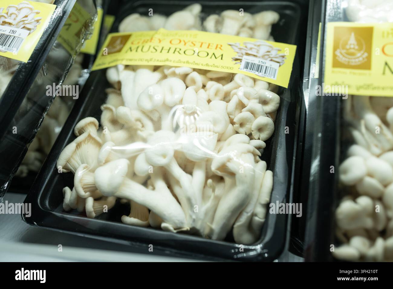 Eine Packung Royal Project grauer Austernpilze mit Etikett, die auf einem Regal in einem Laden in Mae Hia, Chiang Mai, Thailand ausgestellt ist Stockfoto