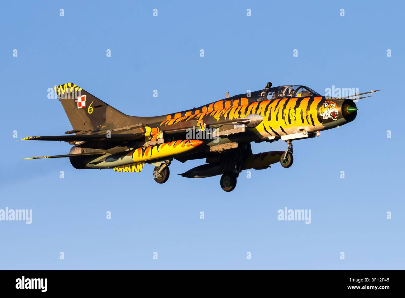 Polnische Luftwaffe Sukhoi Su-22M4 Fitter-K in einem markanten Tiger-Sonderlackierung beim Endanflug in Polen Stockfoto