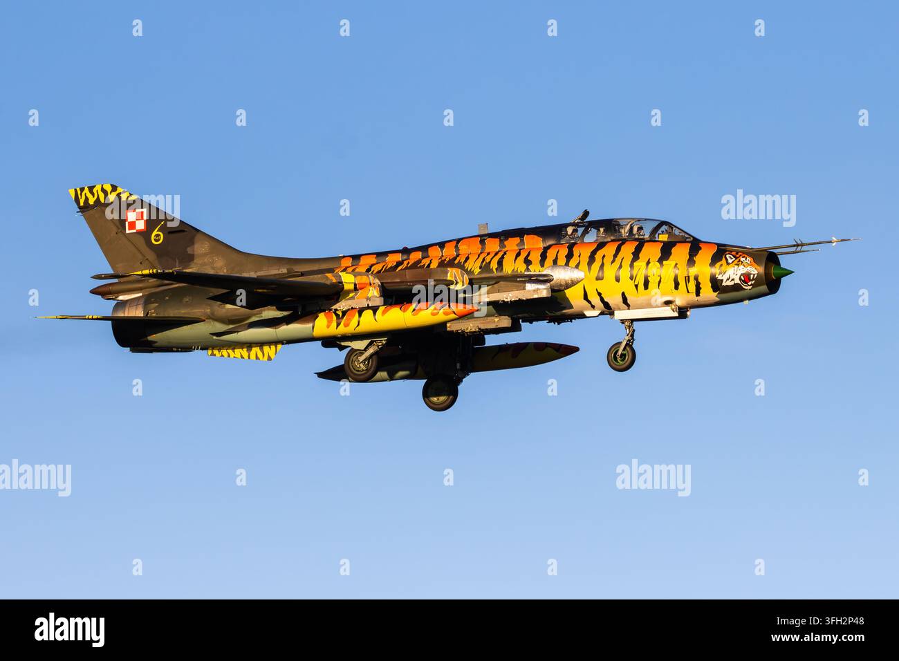 Polnische Luftwaffe Sukhoi Su-22M4 Fitter-K in einem markanten Tiger-Sonderlackierung beim Endanflug in Polen Stockfoto