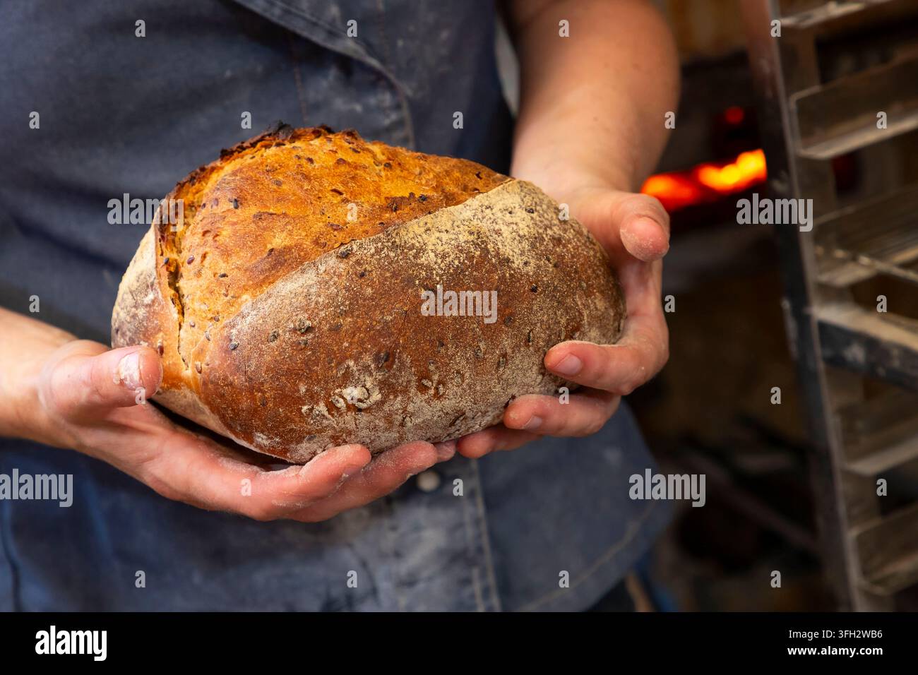 Créquy (Nordfrankreich): La Boulange Bäckerei. Handwerkliche Bio-Brotproduktion Stockfoto