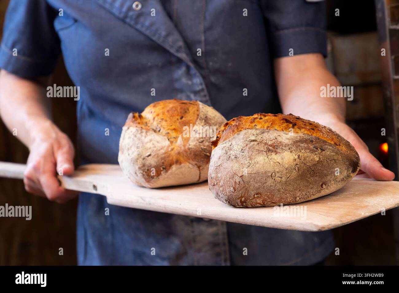 Créquy (Nordfrankreich): La Boulange Bäckerei. Handwerkliche Bio-Brotproduktion Stockfoto