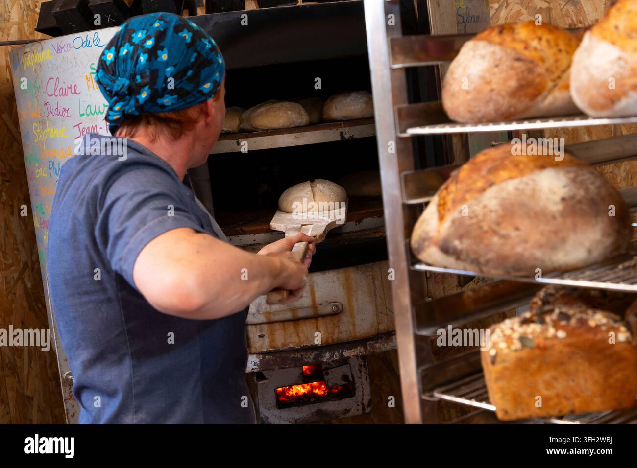Créquy (Nordfrankreich): La Boulange Bäckerei. Handwerkliche Bio-Brotproduktion Stockfoto