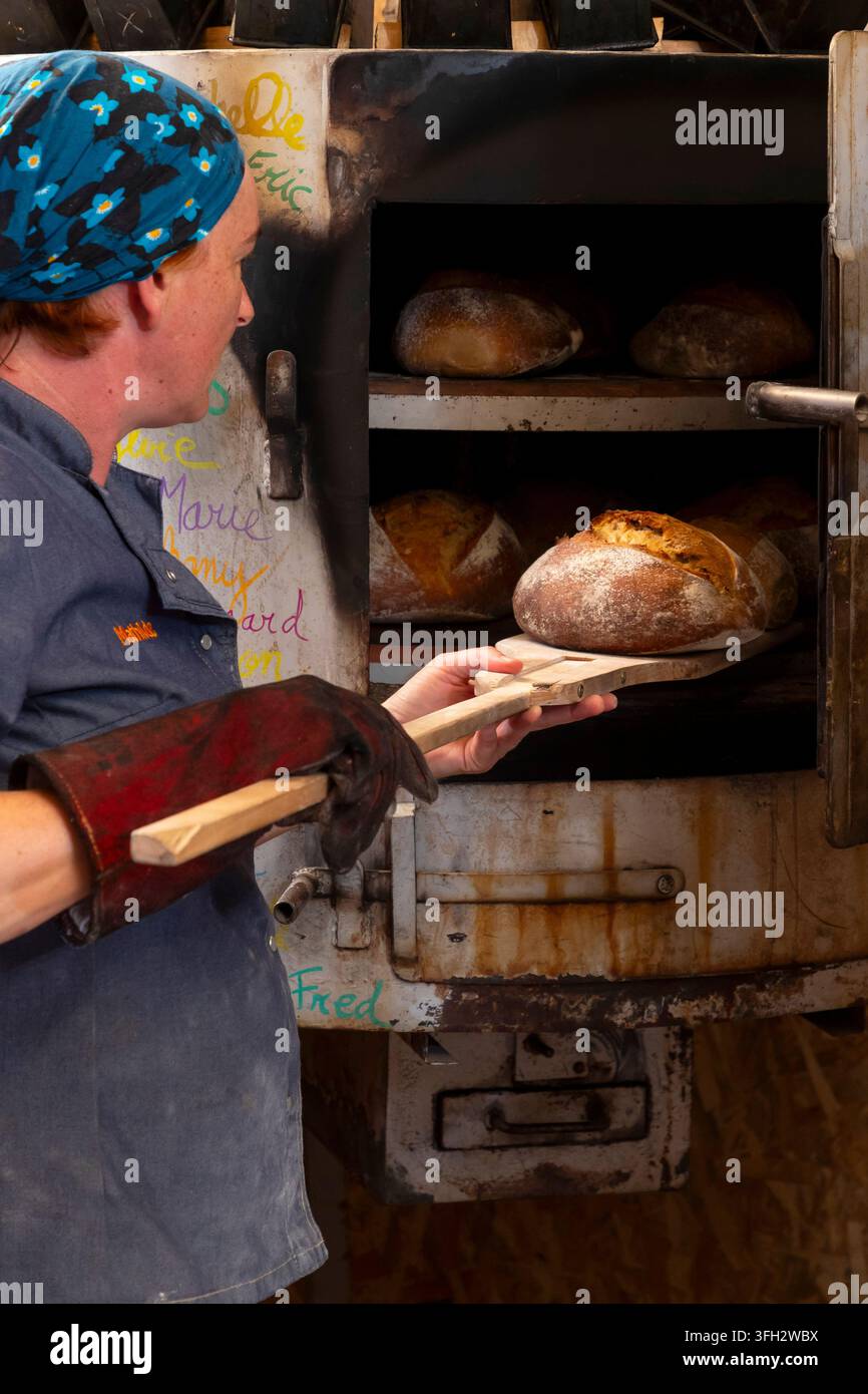 Créquy (Nordfrankreich): La Boulange Bäckerei. Handwerkliche Bio-Brotproduktion Stockfoto