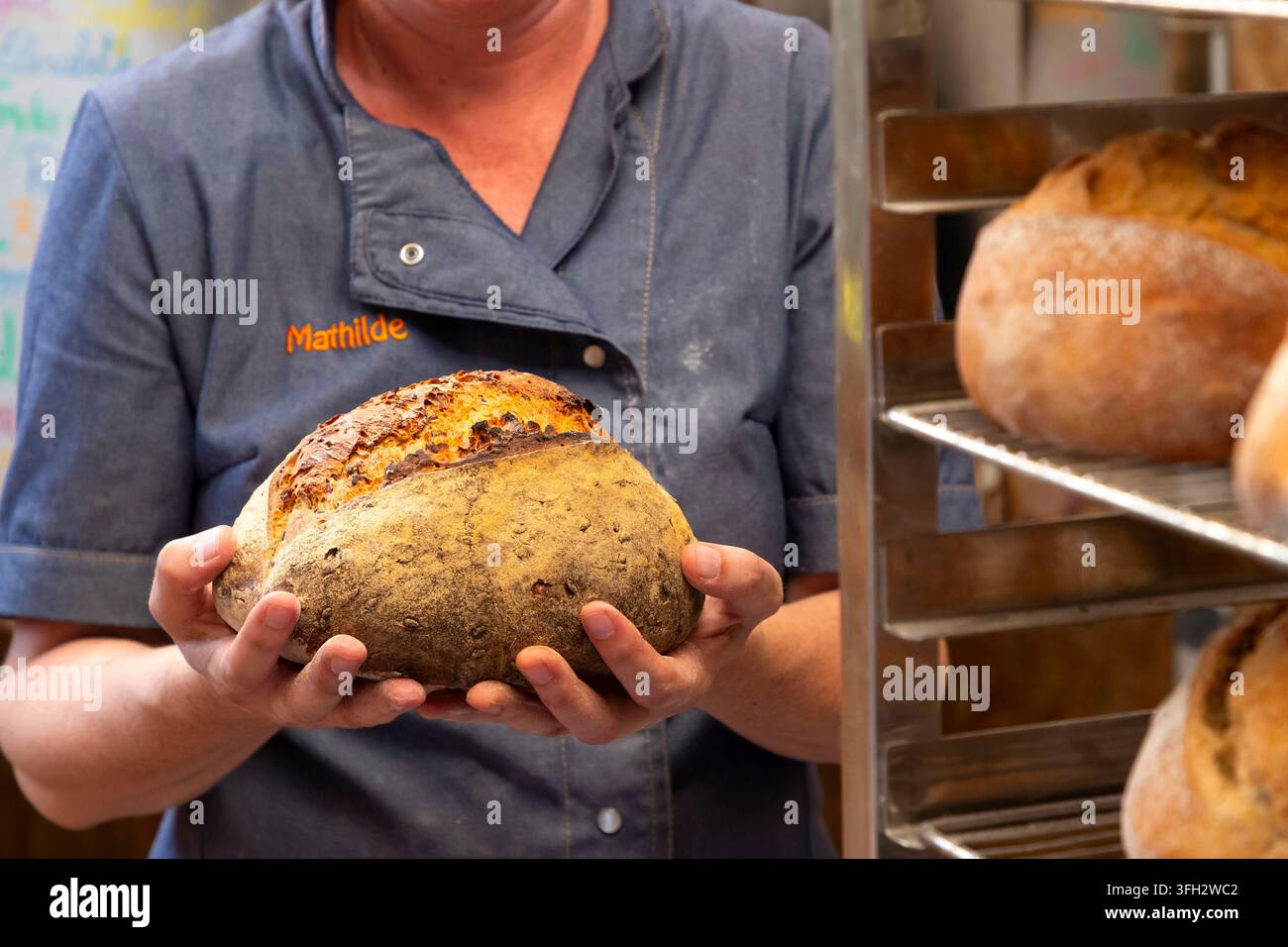 Créquy (Nordfrankreich): La Boulange Bäckerei. Handwerkliche Bio-Brotproduktion Stockfoto