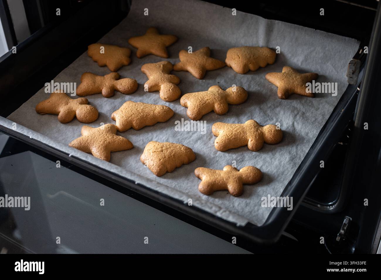 Frische selbstgemachte Weihnachtsplätzchen in Form von Sternen, Bäumen und Lebkuchenmännchen, die auf einem mit Backpapier ausgelegten Backblech abkühlen. Stockfoto