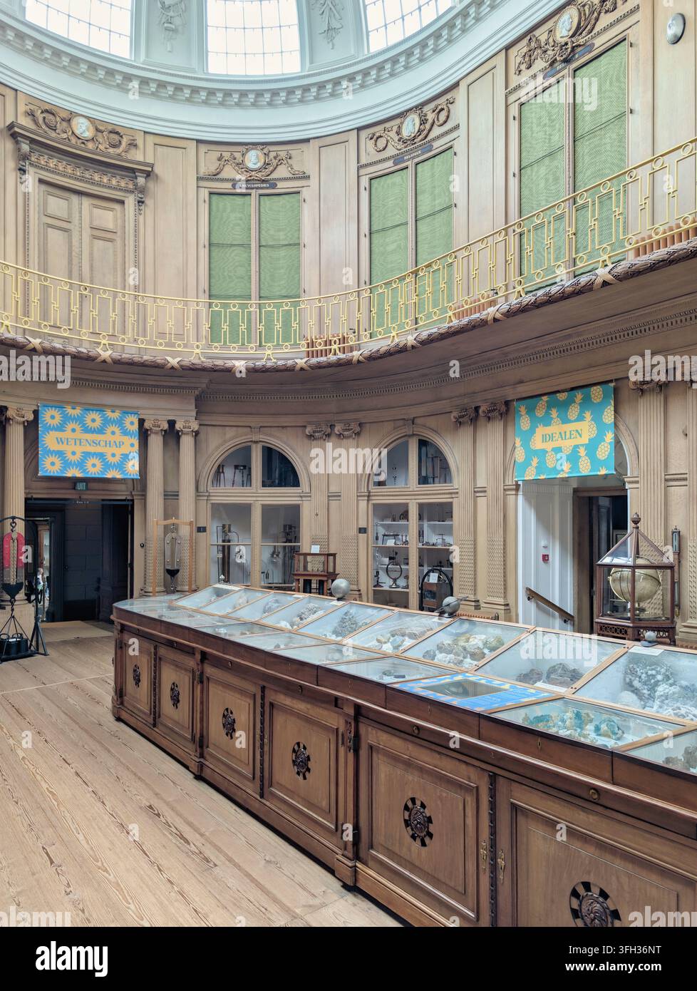 Das Teylers Museum ist ein Kunst-, Naturgeschichte- und Wissenschaftsmuseum in Haarlem, Niederlande. Mineralien-Sammlungssaal. Stockfoto
