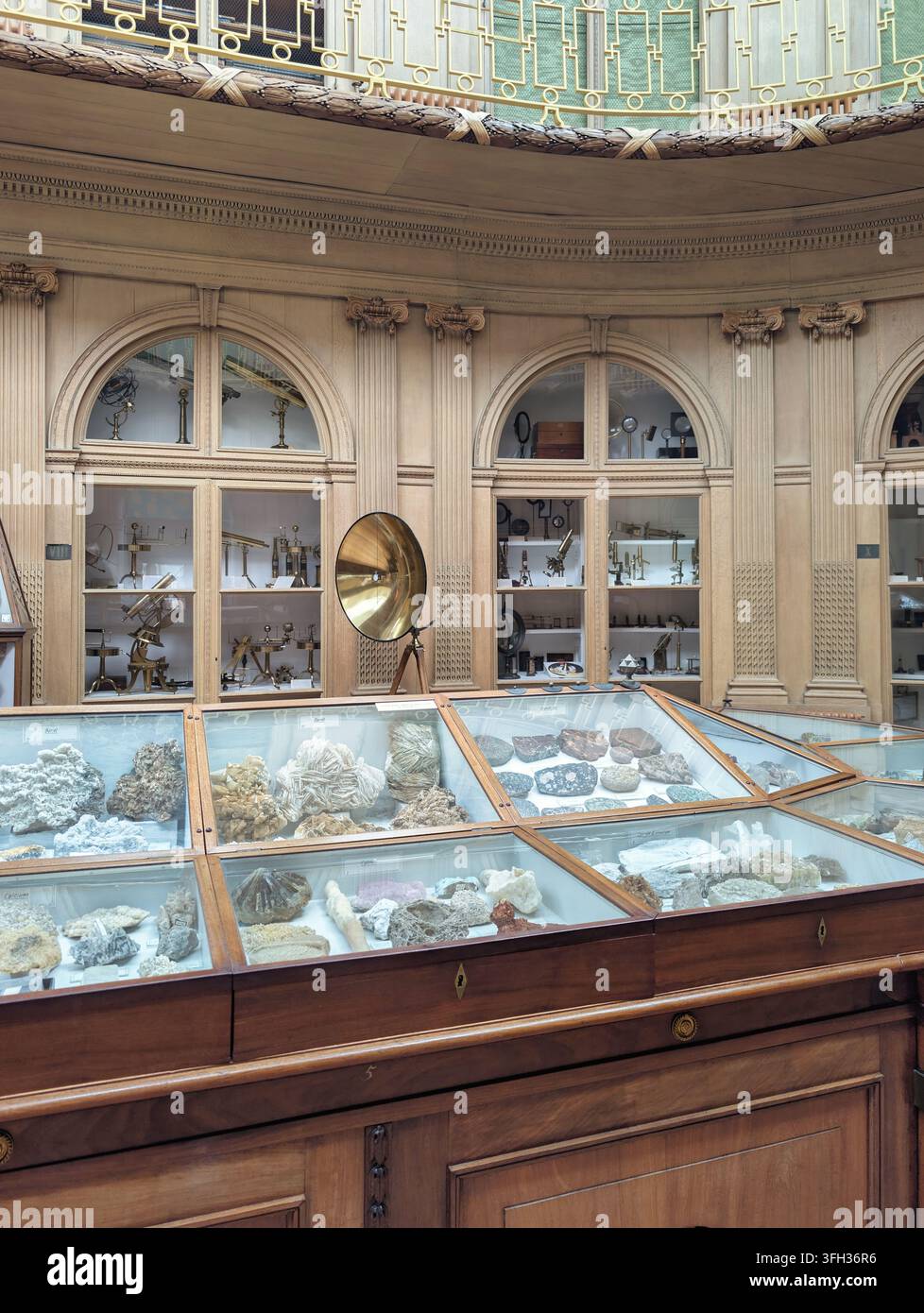 Das Teylers Museum ist ein Kunst-, Naturgeschichte- und Wissenschaftsmuseum in Haarlem, Niederlande. Mineralien-Sammlungssaal. Stockfoto