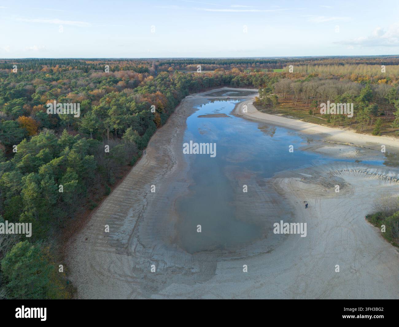 Niedriger Wasserstand Kibbelkoele, Entwasserter Waldteich, Drenthe Stockfoto
