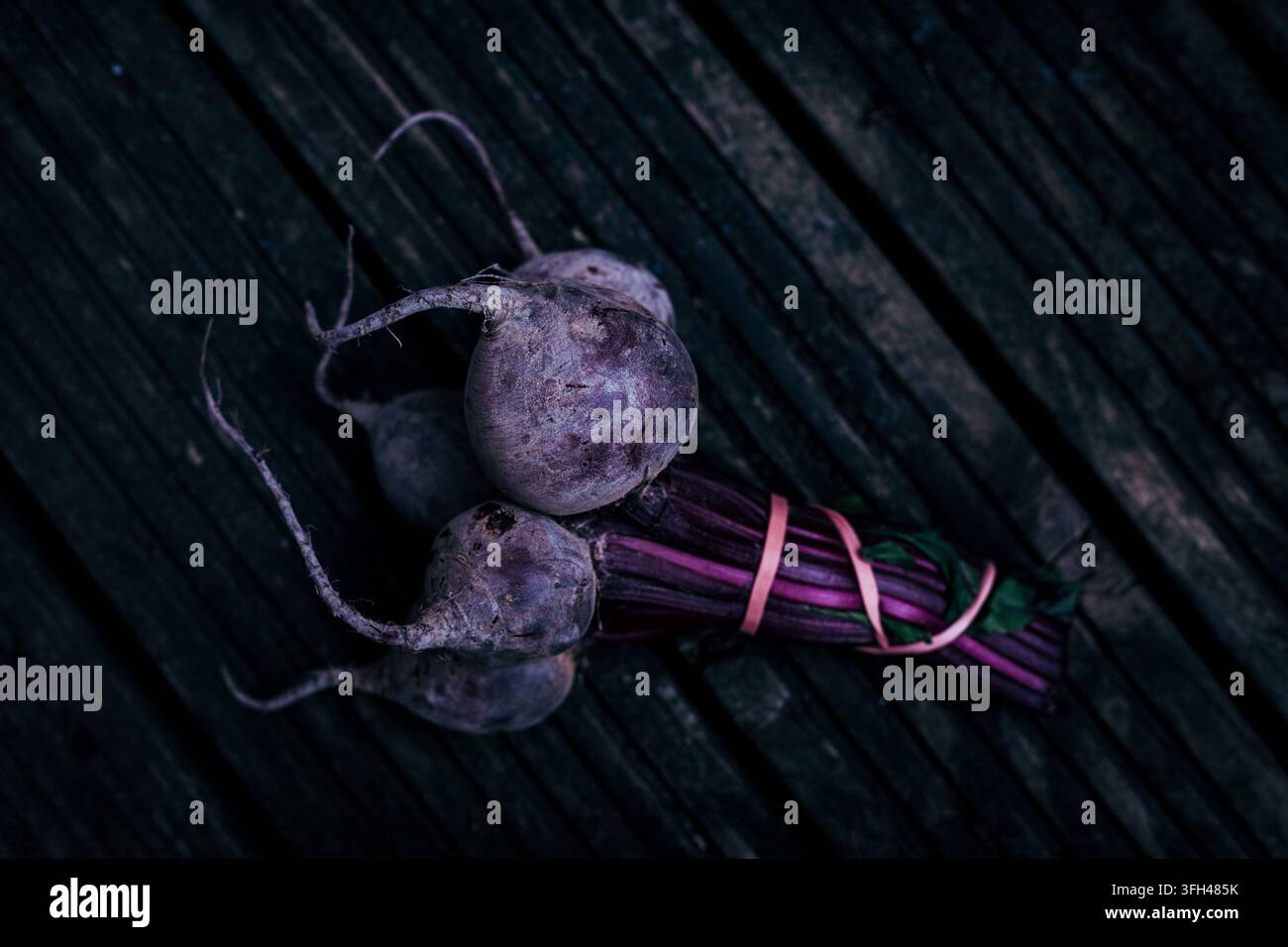 frischer Strauß Rote Bete mit zusammengebundenen Stängeln Stockfoto