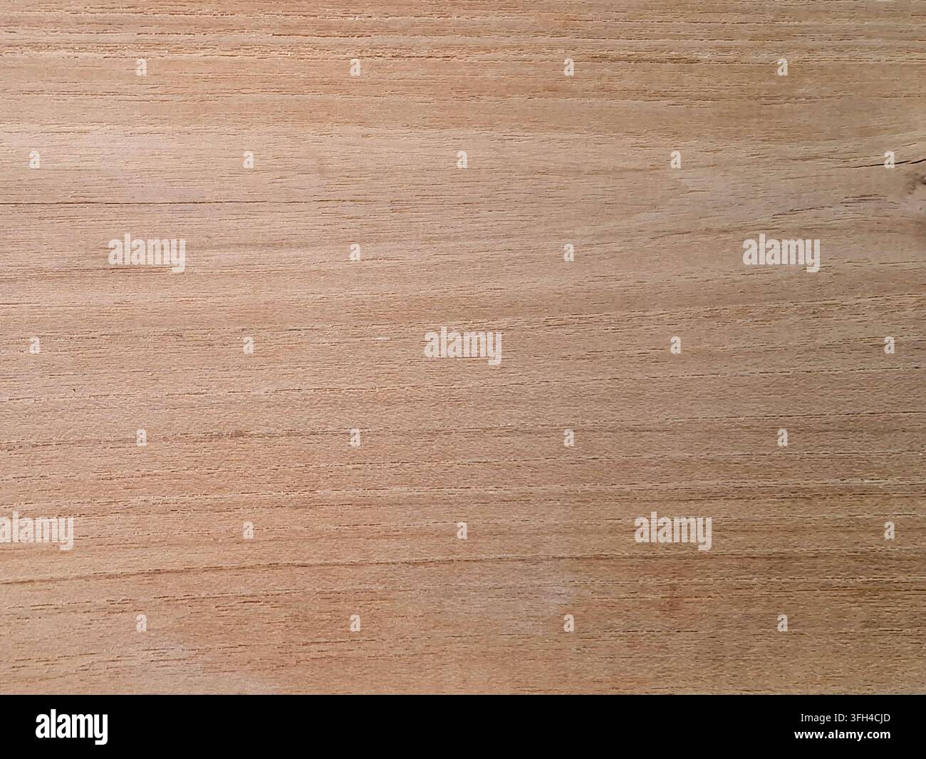 Vollbild-Hintergrund aus einer hellbraunen natürlichen Holztextur mit feinen linearen Faserstrukturen, einer weichen Holzoberfläche und subtilen rustikalen Details Stockfoto