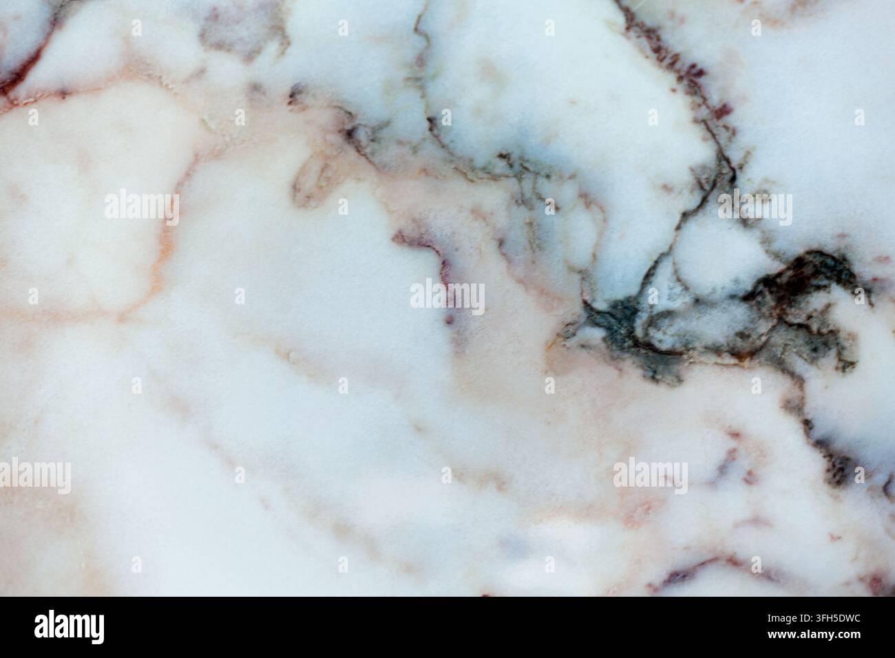 Nahaufnahme einer glatten weißen Marmorplatte mit natürlichen grauen und braunen Adern, die organische Textur und architektonisches Design hervorhebt. Stockfoto