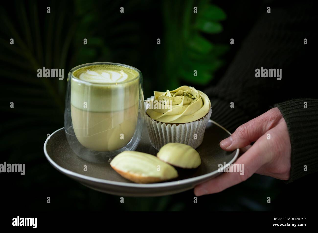 Eine Hand hält einen Teller mit einer stilvollen Tasse Matcha, einem Cupcake und Keksen inmitten üppiger grüner Pflanzen. Stockfoto