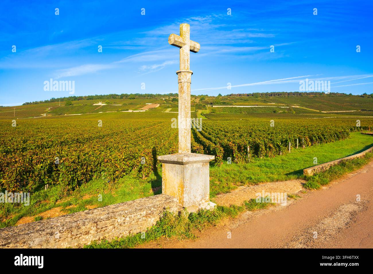 Ikoniches Steinkreuz-Denkmal im legendären Grand-Cru-Weingut Romanee Conti in Vosne Romanee, Region Burgund in Frankreich Stockfoto