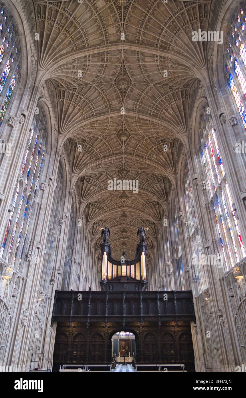 King's College Chapel Fan Vault Ceiling - Ein atemberaubender Tiefohn-Blick zeigt die kunstvolle Fächergewölbedecke und die Buntglasfenster von King's Stockfoto