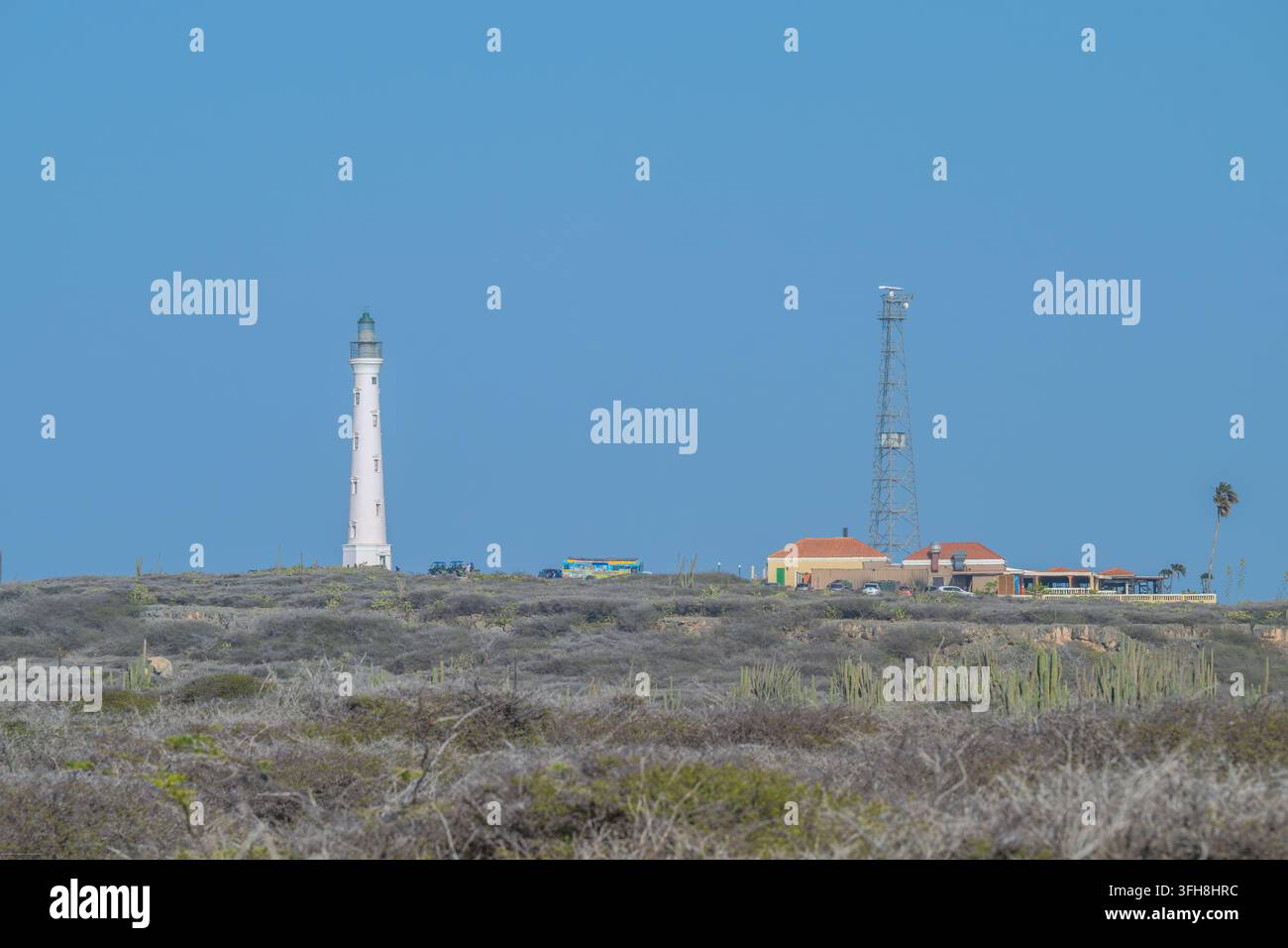 Aruba-Leuchtturm mit Restaurant, eingerahmt von Kakteen. Stockfoto