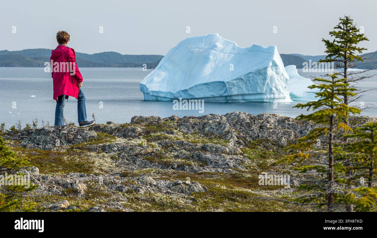Dame betrachtet einen Eisberg in einer Bucht, Twillingate, Neufundland und Labrador Stockfoto