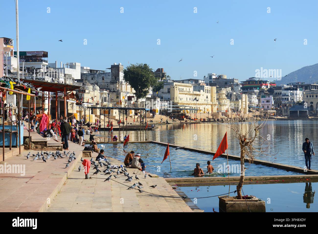 Der heilige See in Pushkar, Rajasthan, Indien. Stockfoto
