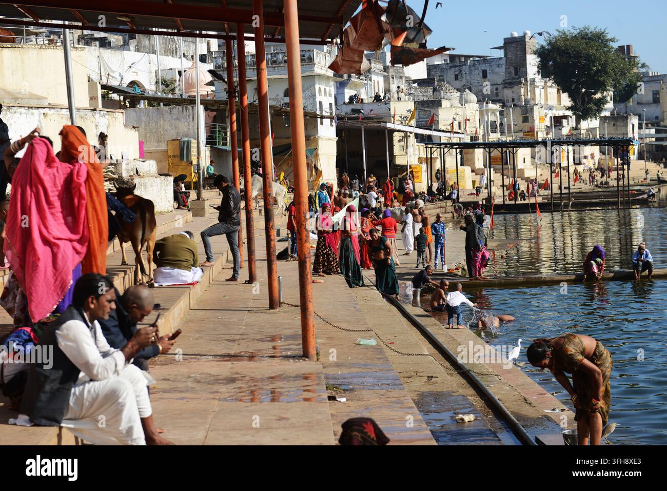 Der heilige See in Pushkar, Rajasthan, Indien. Stockfoto