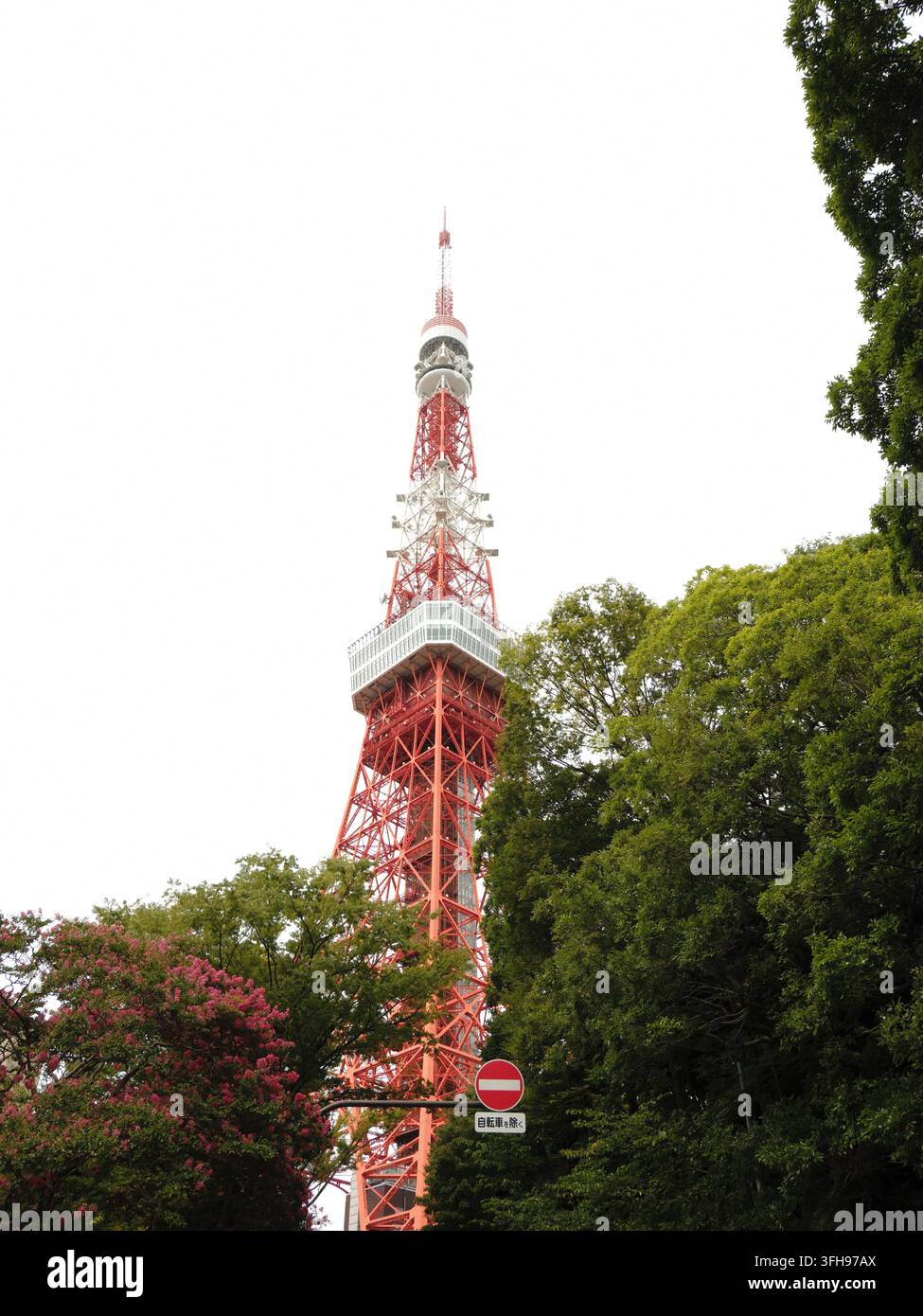 Tokyo Tower erhebt sich über Bäumen in Tokio, Japan Stockfoto
