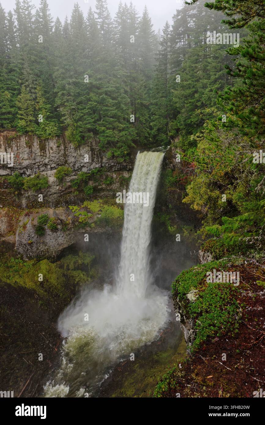 Brandywine Falls stürzt 65 Fuß über eine harte Sandsteinkappe, die weicheren Schiefer darunter schützt, nahe Whistler, British Columbia, Kanada, Oktober. Stockfoto