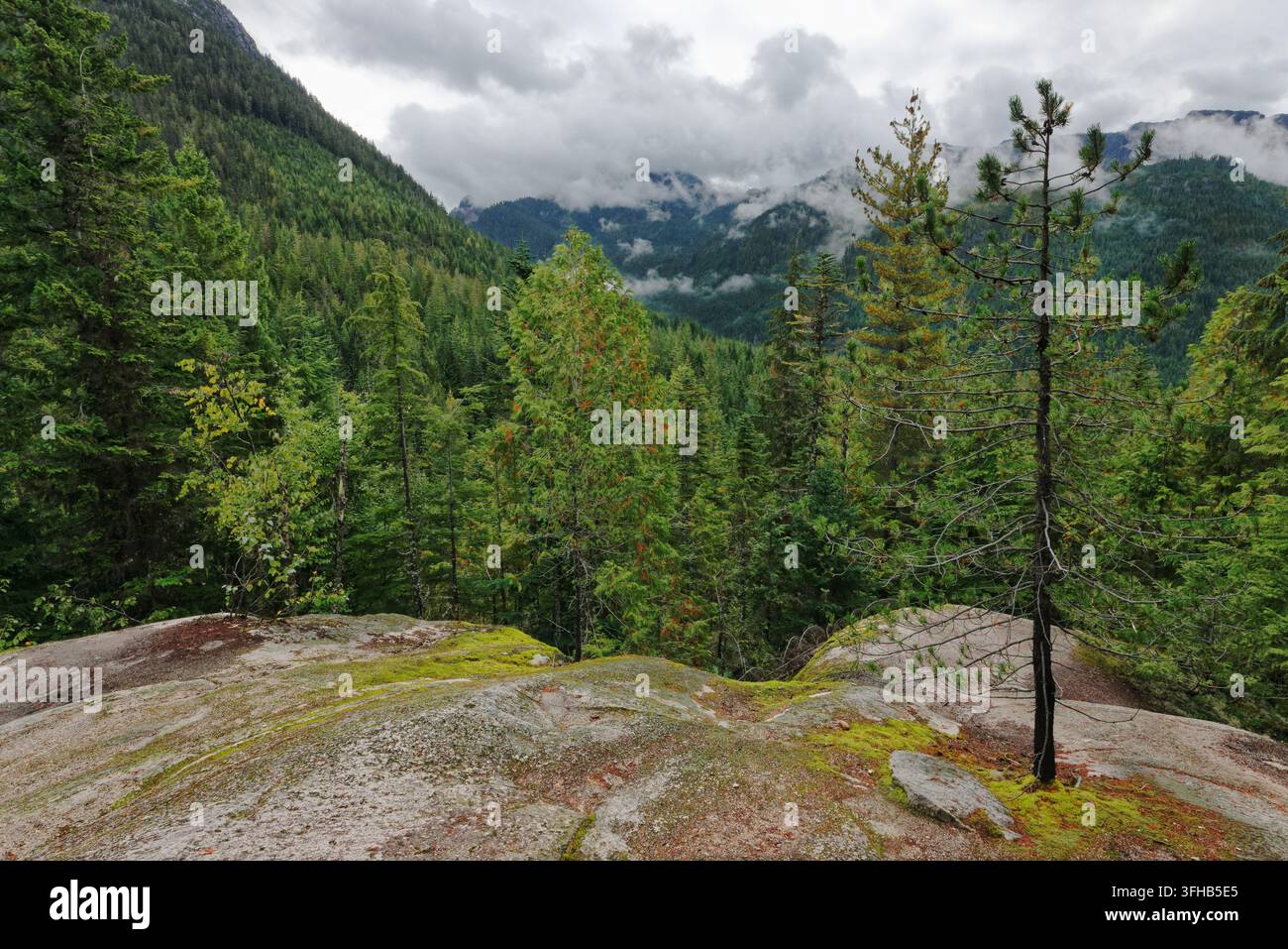 Blick von der Sea to Sky Gondola vom Gipfel aus exponierter Küstengranitaussicht in Richtung Sky Pilot Mountain, Squamish, British Columbia, Kanada, Oktober Stockfoto
