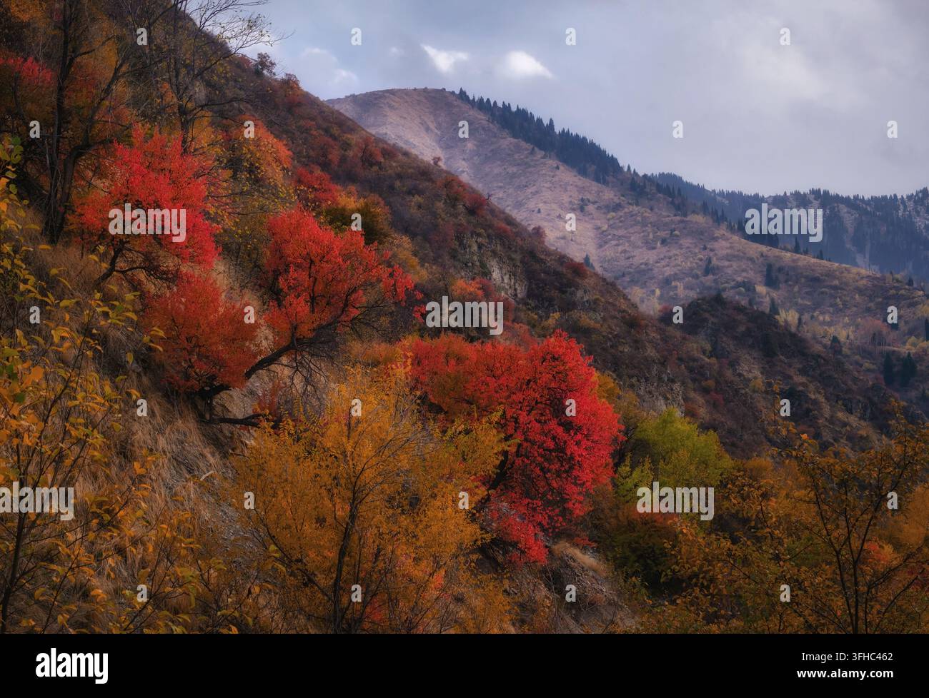 Wunderschöne herbstliche Berglandschaft mit lebhaftem rotem und orangefarbenem Laub an den Hängen. Dieser malerische Naturhintergrund ist perfekt für Reisebranding, s Stockfoto