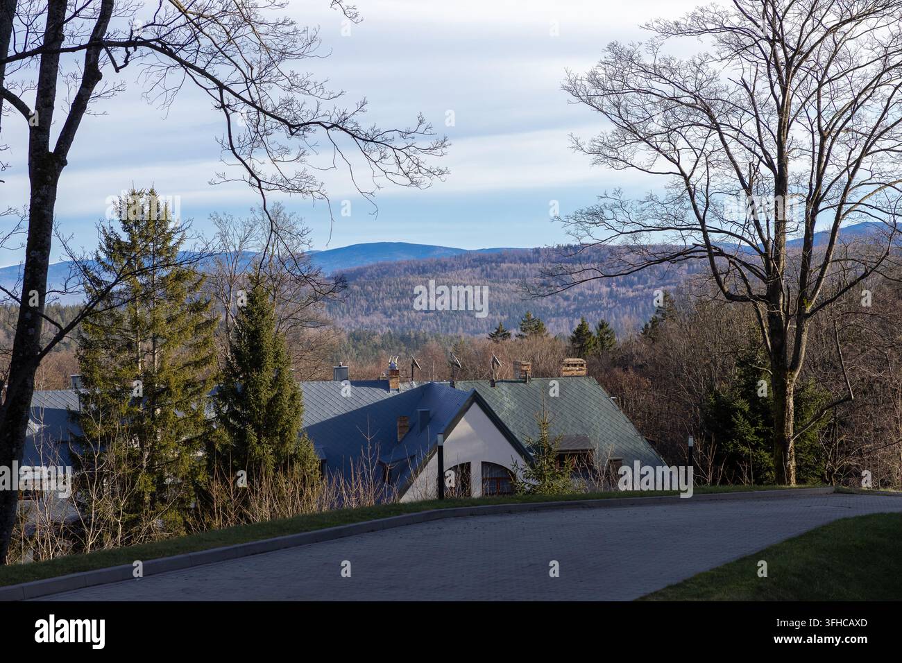 Oberblick, der ein charmantes Wohngebiet mit Satteldächern zeigt, eingebettet in eine weitläufige Bergwaldlandschaft, eingerahmt von winterlichen Bäumen Stockfoto
