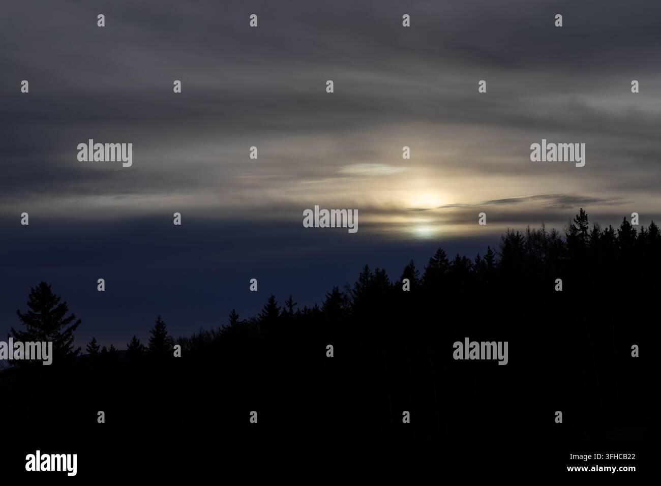 Dunkle Waldlinie vor einem weiten bewölkten Himmel, mit dem sanften Schimmern der Sonne, das durch die Schichten bricht und eine nachdenkliche Naturstimmung schafft Stockfoto