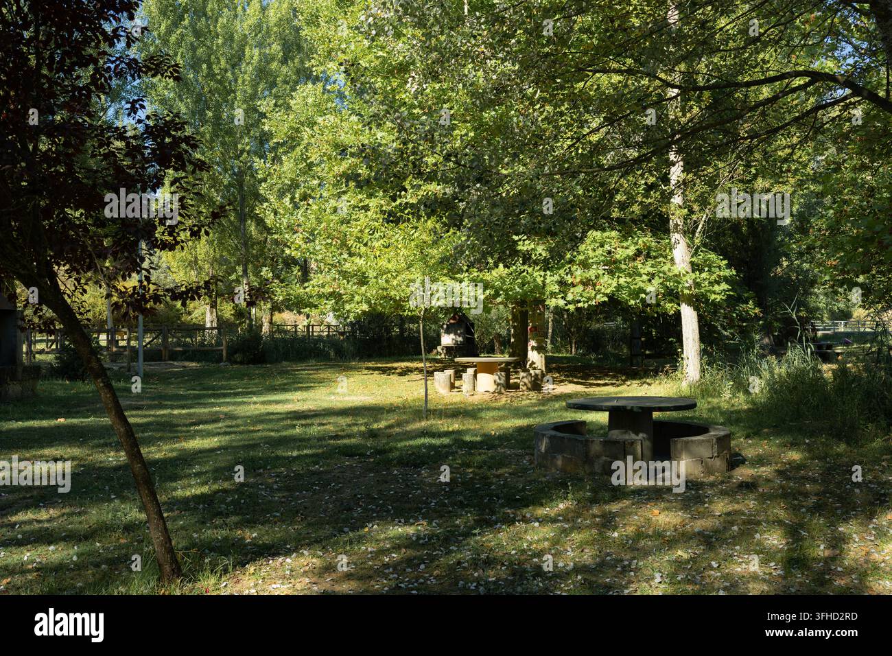 Eine ruhige Parkszene mit Picknicktischen, die von hohen, belaubten Bäumen in Huerta de Rey beschattet werden. Stockfoto