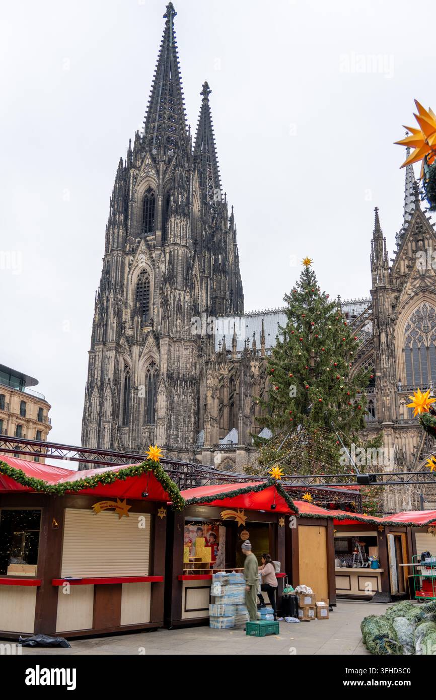 Köln, Deutschland - 14. Nov. 25: Der gotische Kölner Dom erhebt sich über roten Weihnachtsmarktständen und einem geschmückten Baum in Köln, Deutschland. Stockfoto