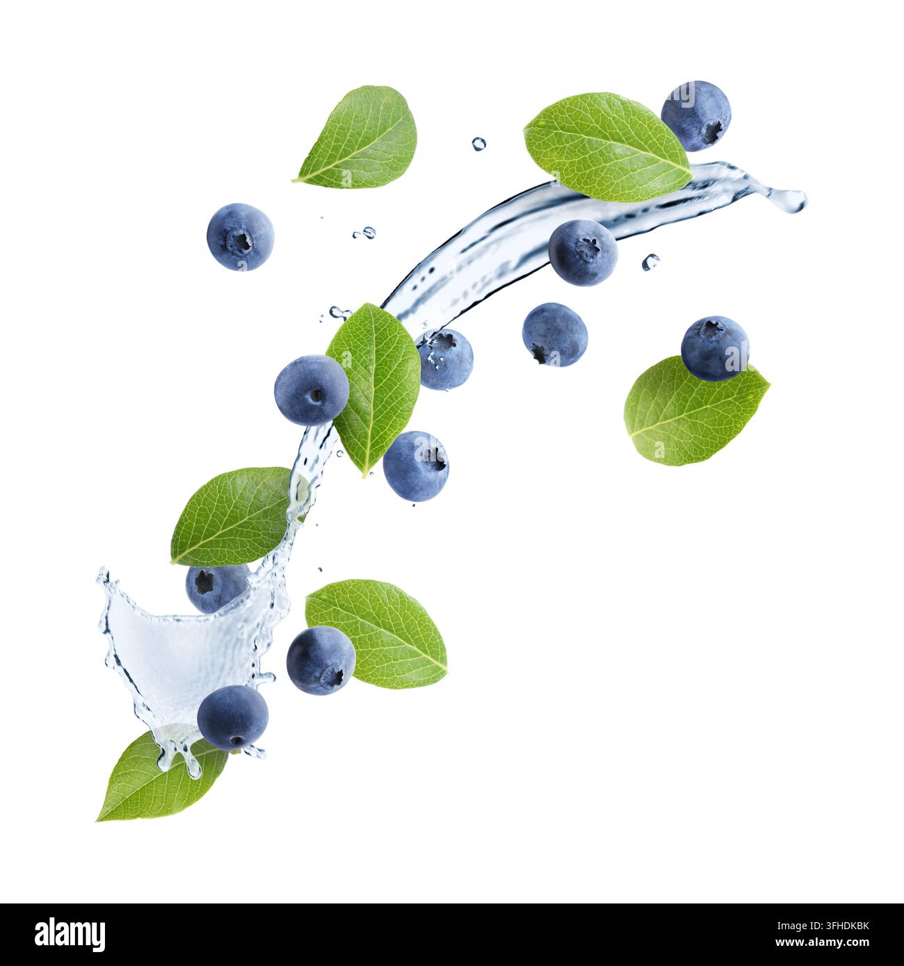 Frische Blaubeeren, grüne Blätter und Wasserspritzer in der Luft vor weißem Hintergrund Stockfoto